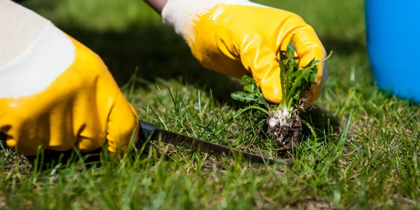 Dreamscape landscaping crew preparing a residential yard